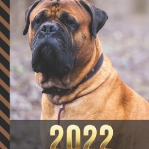 2022 Calendar and Notebook In One: Brown English Mastiff Dog Photo / 8.5x11 Monthly Planner with Note Paper Combo / Large Organizer With Whole Month o