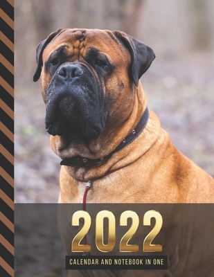 2022 Calendar and Notebook In One: Brown English Mastiff Dog Photo / 8.5x11 Monthly Planner with Note Paper Combo / Large Organizer With Whole Month o
