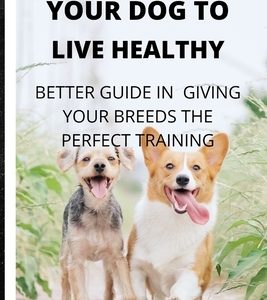 How to Groom Your Dog to Look Healthy: Better Guide in Giving Your Breeds the Perfect Training