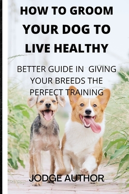 How to Groom Your Dog to Look Healthy: Better Guide in Giving Your Breeds the Perfect Training