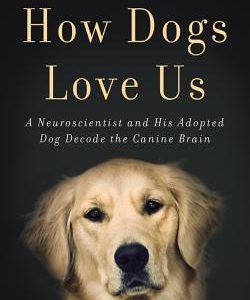 How Dogs Love Us: A Neuroscientist and His Adopted Dog Decode the Canine Brain