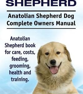 Anatolian Shepherd. Anatolian Shepherd Dog Complete Owners Manual. Anatolian Shepherd book for care, costs, feeding, grooming, health and training.