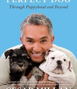 How to Raise the Perfect Dog: Through Puppyhood and Beyond