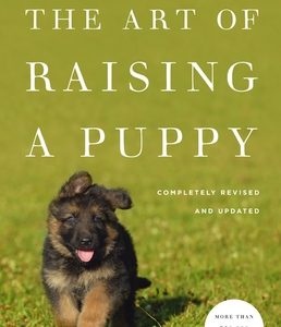 The Art of Raising a Puppy