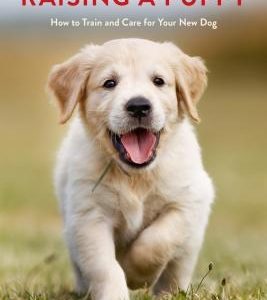 The Ultimate Guide to Raising a Puppy: How to Train and Care for Your New Dog