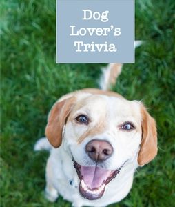 Dog Lover's Trivia: Weird and Wacky Facts about Our Canine Friends
