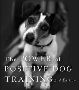 The Power of Positive Dog Training