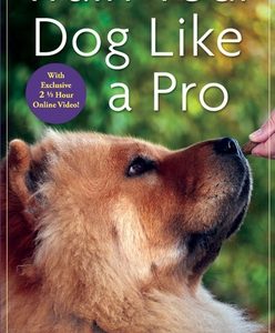 Train Your Dog Like a Pro