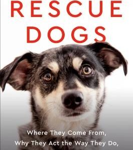 Rescue Dogs: Where They Come From, Why They Act the Way They Do, and How to Love Them Well