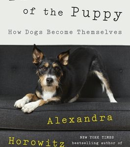 The Year of the Puppy: How Dogs Become Themselves