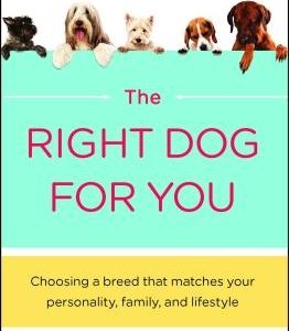Right Dog for You