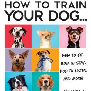 How to Train Your Dog: A Relationship-Based Approach for a Well-Behaved Dog