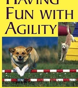 Having Fun with Agility