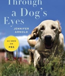 Through a Dog's Eyes: Understanding Our Dogs by Understanding How They See the World