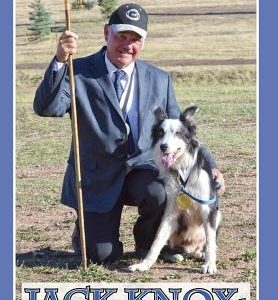 Jack Knox: Learning Life's Lessons with Stock Dogs