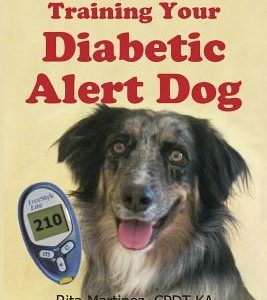 Training Your Diabetic Alert Dog