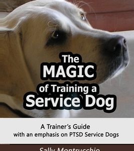 The Magic of Training a Service Dog