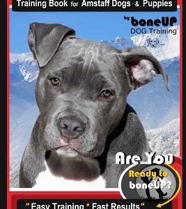 Amstaff Training Book for Amstaff Dogs & Puppies by Boneup Dog Training: Are You Ready to Bone Up? Easy Training * Fast Results American Staffordshire