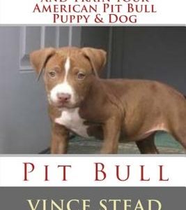 How to Understand and Train your American Pit Bull Puppy & Dog