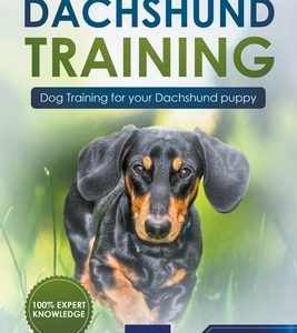 Dachshund Training: Dog Training for Your Dachshund Puppy