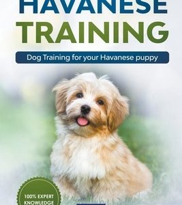 Havanese Training: Dog Training for Your Havanese Puppy