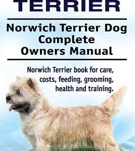 Norwich Terrier. Norwich Terrier Dog Complete Owners Manual. Norwich Terrier book for care, costs, feeding, grooming, health and training.