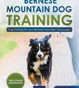 Bernese Mountain Dog Training: Dog Training for Your Bernese Mountain Puppy