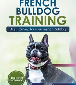 French Bulldog Training: Dog Training for Your French Bulldog Puppy