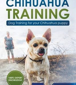 Chihuahua Training: Dog Training for Your Chihuahua Puppy