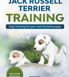 Jack Russell Terrier Training: Dog Training for Your Jack Russell Puppy