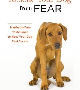 Rescue Your Dog from Fear: Tried-And-True Techniques to Help Your Dog Feel Secure