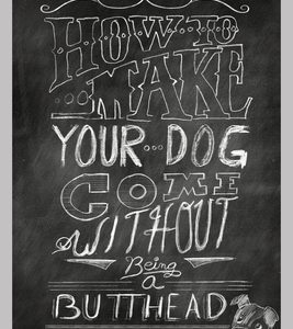 How to Make your Dog COME Without Being a BUTT-HEAD