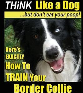 Border Collie Dog Training - Think Like a Dog, But Don't Eat Your Poop!: Here's Exactly How to Train Your Border Collie
