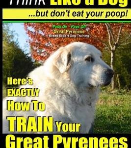 Great Pyrenees Dog Training - Think Like a Dog - But Don't Eat Your Poop!: 'Paws On Paws Off' - Great Pyrenees - Breed Expert Dog Training