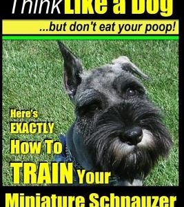 Miniature Schnauzer Dog Training - Think Like a Dog But Don't Eat Your Poop! -: Here's EXACTLY How To Train Your Miniature Schnauzer