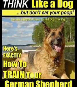 German Shepherd, German Shepherd Training AAA AKC: Think Like a Dog, But Don't Eat Your Poop!: German Shepherd Breed Expert Dog Training Here's EXACTL