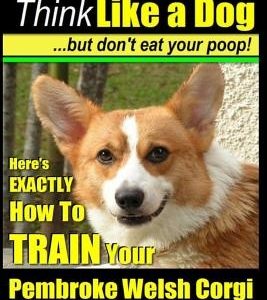 Pembroke Welsh Corgi, Pembroke Welsh Corgi Training AAA AKC: Think Like a Dog, But Don't Eat Your Poop! - Breed Expert Dog Training: Here's EXACTLY Ho