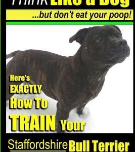 Staffordshire Bull Terrier, Staffordshire Bull Terrier Training AAA AKC: Think Like a Dog But Don't Eat Your Poop!