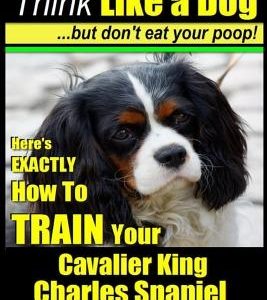 Cavalier King Charles Spaniel Training - Think Like a Dog, But Don't Eat Your P: Here's Exactly How to Train Your Cavalier King Charles Spaniel
