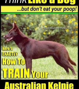 Australian Kelpie, Australian Kelpie Training AAA Akc - Think Like a Dog, But Do: Kelpie Breed Expert Training - Here's Exactly How to Train Your Kelp