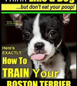 Boston Terrier, Boston Terrier Training AAA Akc: Think Like a Dog, But Don't Eat Your Poop!: Boston Terrier Breed Expert Training - Here's Exactly How