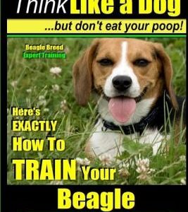 Beagle, Beagle Training AAA Akc: Think Like a Dog, But Don't Eat Your Poop! - Beagle Breed Expert Training -: Here's Exactly How to Train Your Beagle