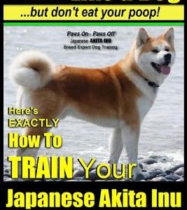 Japanese Akita Inu, Japanese Akita Inu Training AAA AKC: Think Like a Dog, But Don't Eat Your Poop!: Japanese Akita Inu Breed Expert Training - Here's