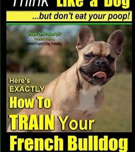 French Bulldog, French Bulldog Training AAA AKC: Think Like a Dog, but Don't Eat Your Poop! - French Bulldog Breed Expert Training -: Here's EXACTLY H