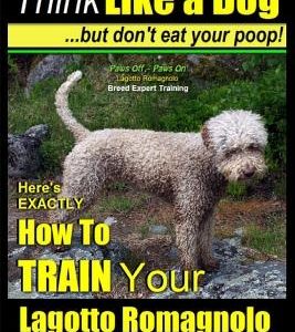 Lagotto Romagnolo, Lagotto Romagnolo Training AAA AKC: Think Like a Dog, but Don't Eat Your Poop! - Lagotto Romagnolo Breed Expert Training -: Here's
