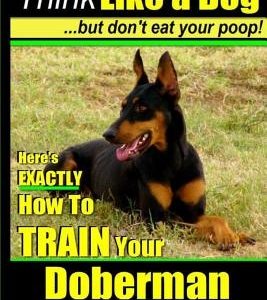 Doberman Pinscher, Doberman Pinscher Training AAA AKC: Think Like a Dog, but Don't Eat Your Poop! - Doberman Pinscher Breed Expert Training -: Here's