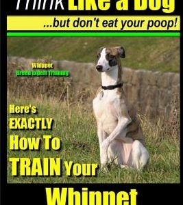 Whippet, Whippet Training AAA AKC: Think Like a Dog, but Don't Eat Your Poop! - Whippet Breed Expert Training -: Here's EXACTLY How to Train Your Whip