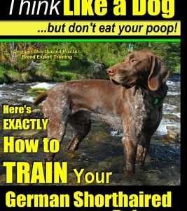 German Shorthaired Pointer, German Shorthaired Pointer Training AAA AKC: Think Like a Dog, but Don't Eat Your Poop! - German Shorthaired Pointer Breed