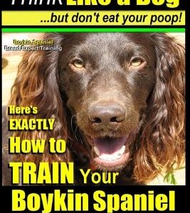 Boykin Spaniel, Boykin Spaniel Training AAA Akc: Think Like a Dog, But Don't Eat Your Poop! Boykin Spaniel Breed Expert Training: Here's Exactly How t