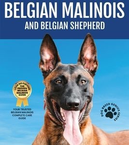 Belgian Malinois And Belgian Shepherd: Belgian Malinois And Belgian Shepherd Bible Includes Belgian Malinois Training, Belgian Sheepdog, Puppies, Belg